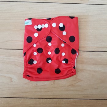 Ladybug